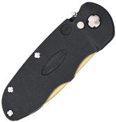 FNFS4 - Affûteur FALLKNIVEN Flip Stone Automatique 